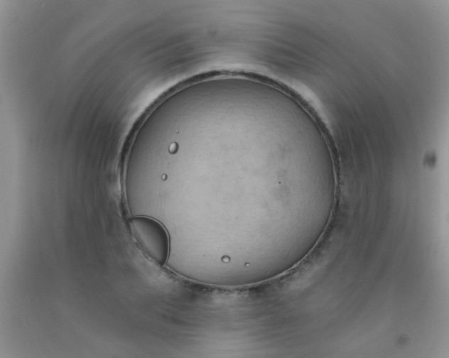 X0000092030887200709201610