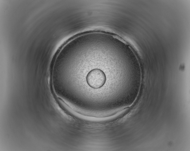 X0000092030888200709201610