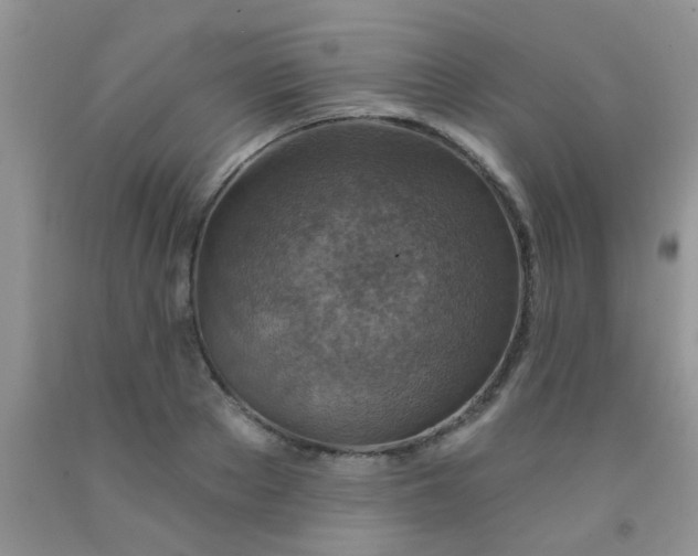 X0000092030889200709201610