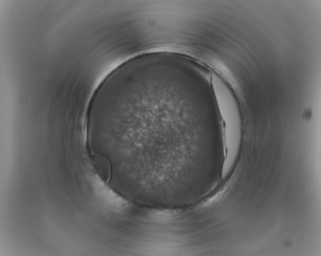 X0000092030892200709201610