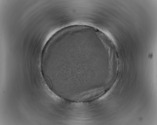 X0000092030896200709201609