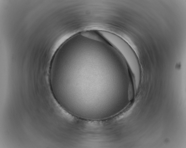 X0000092030901200709201609