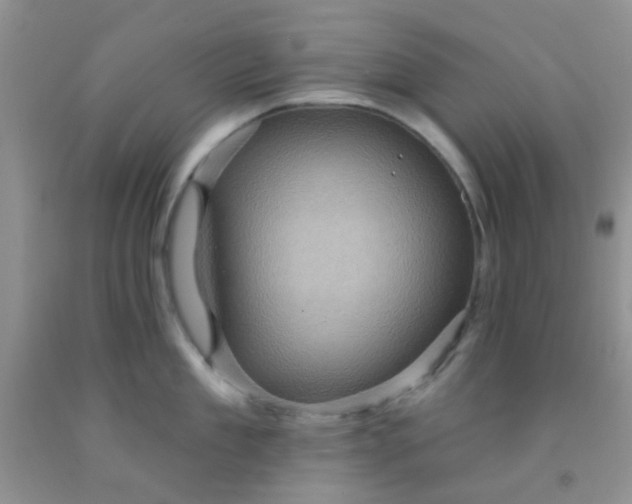 X0000092030909200709201609