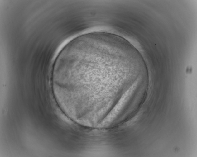 X0000092030912200709201609