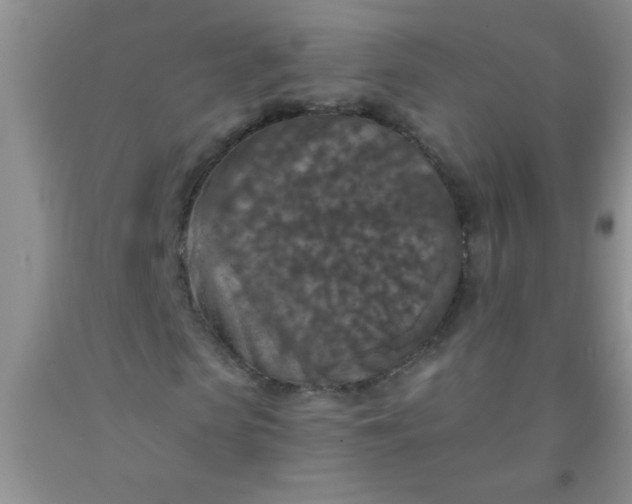 X0000092030913200709201608