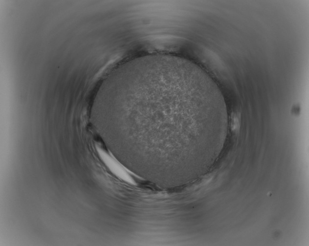 X0000092030915200709201609