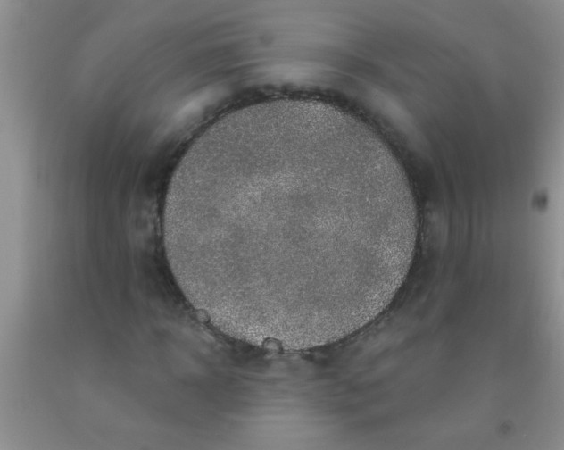 X0000092030918200709201609