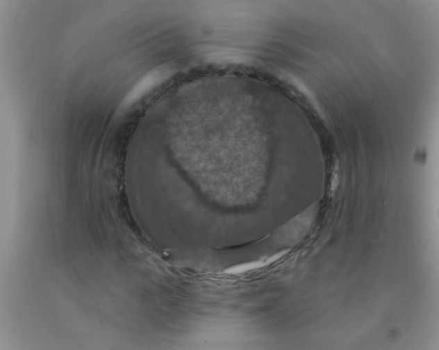 X0000092030919200709201609