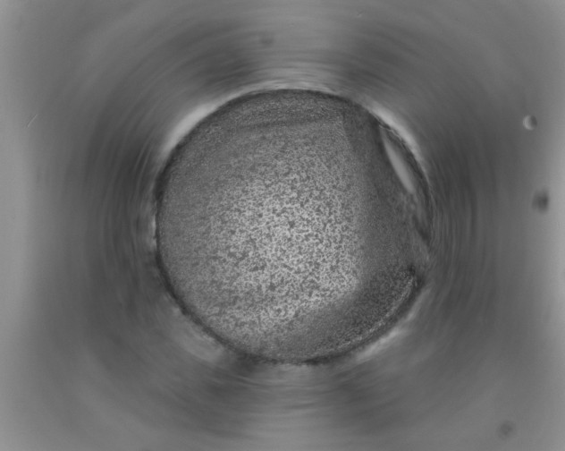 X0000092030925200709201609