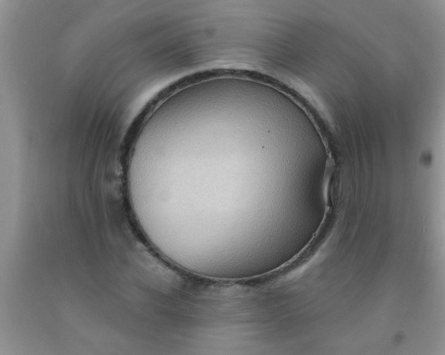 X0000092030926200709201609