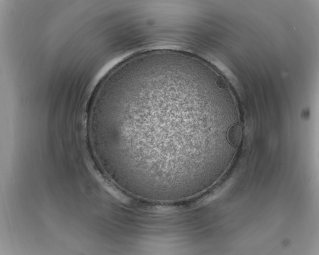 X0000092030933200709201609