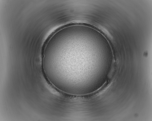 X0000092030934200709201609