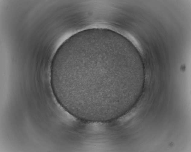 X0000092030950200709201609