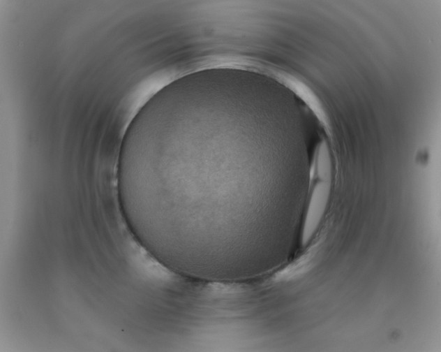 X0000092030954200709201609