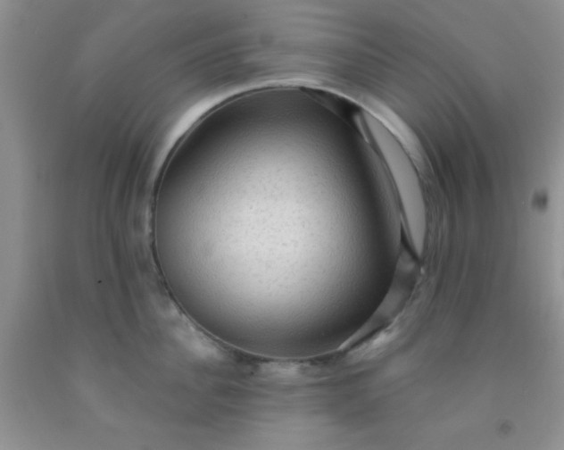 X0000092030956200709201609