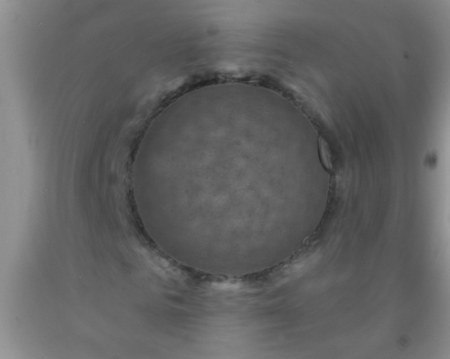 X0000092030961200709201608