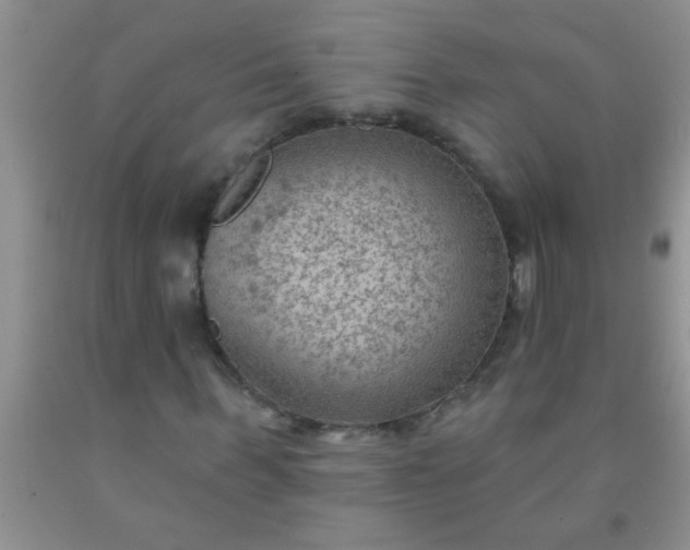 X0000092030963200709201608