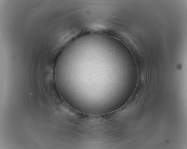 X0000092030964200709201608