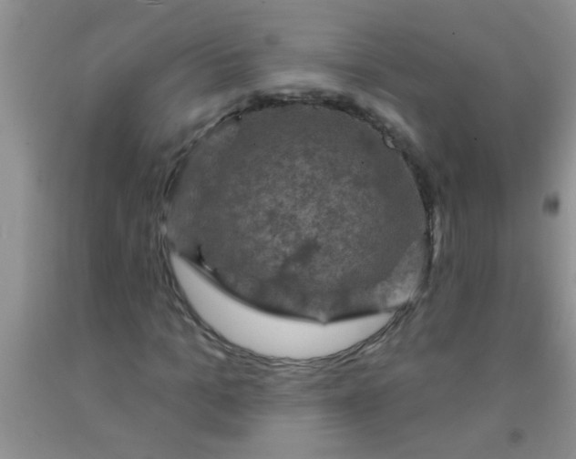 X0000092030965200709201608