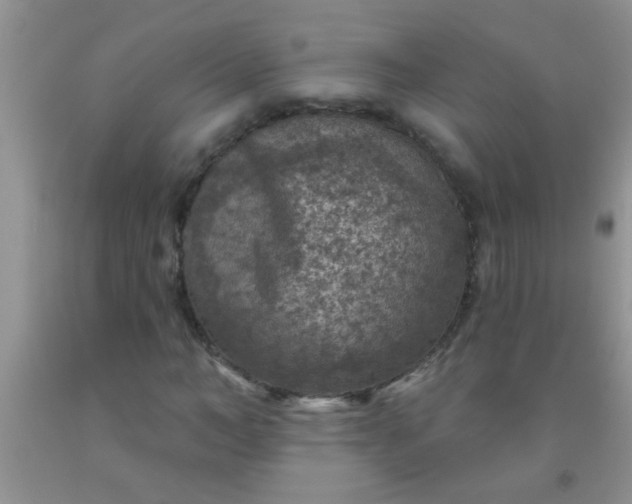 X0000092030966200709201608