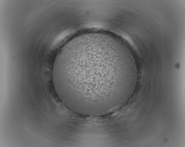 X0000092030967200709201608