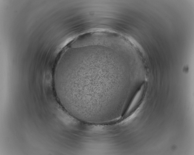 X0000092030969200709201608