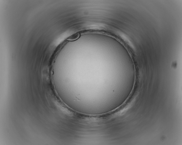 X0000092030970200709201608