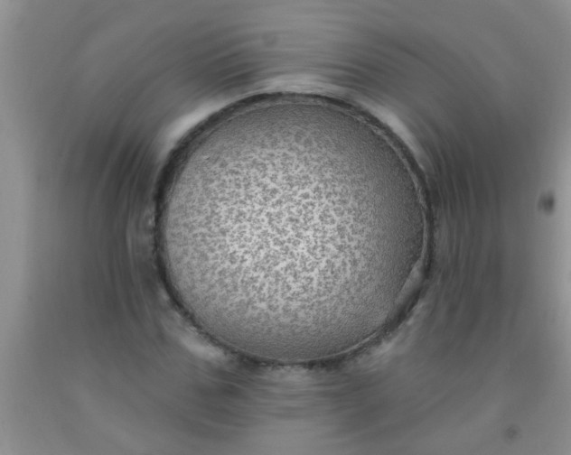 X0000092030971200709201608