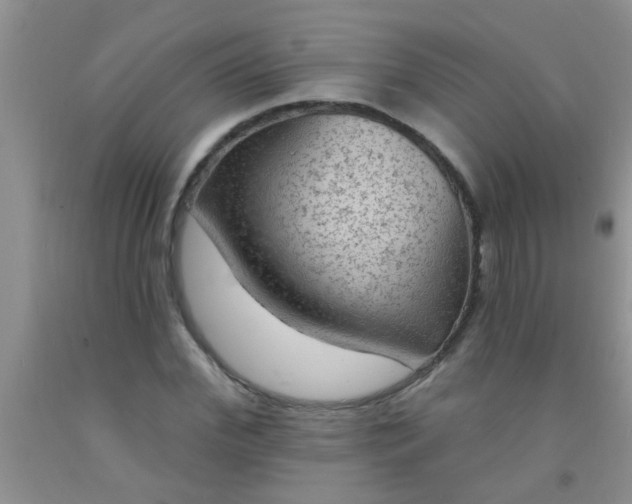 X0000092030972200709201608