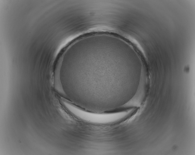 X0000092030973200709201608