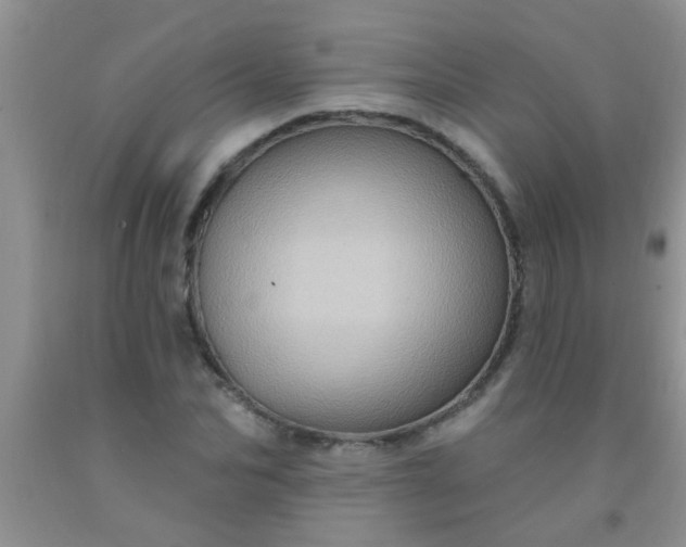 X0000092030974200709201608