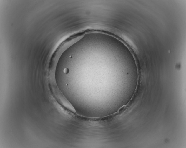 X0000092030976200709201608