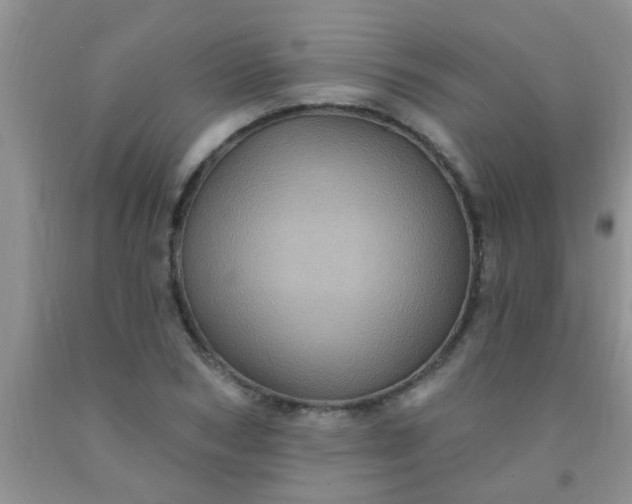 X0000092030978200709201608