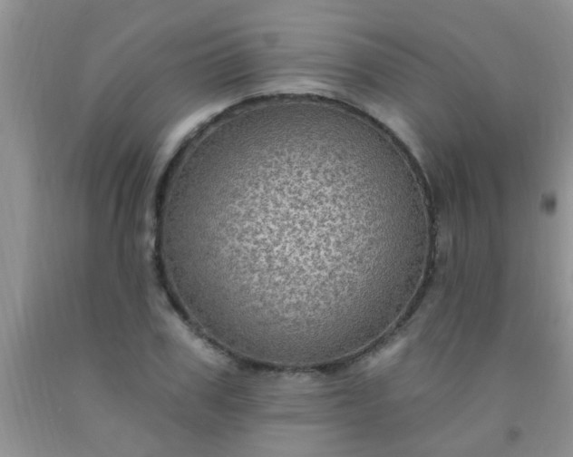 X0000092030979200709201608