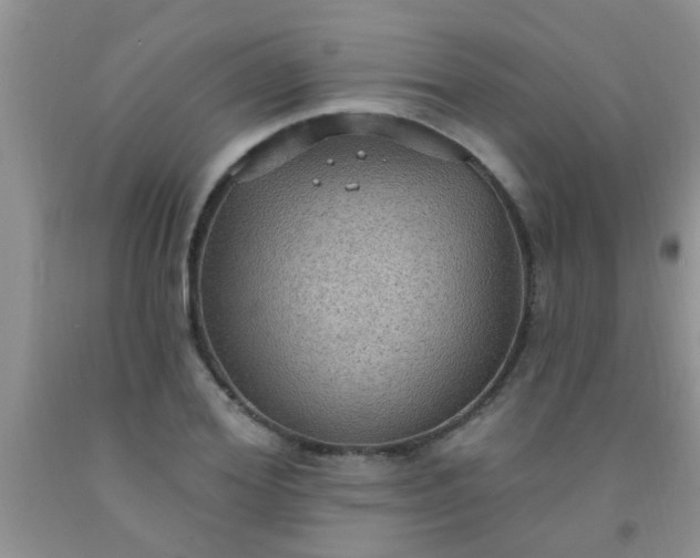 X0000092030980200709201608