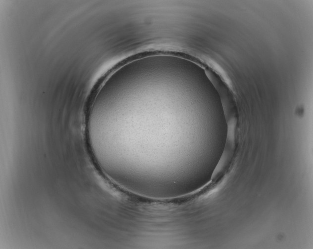 X0000092030981200709201608