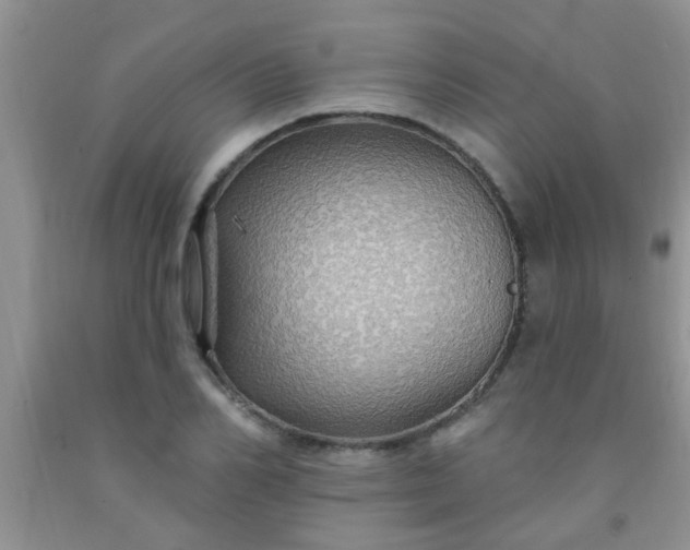 X0000092030982200709201608