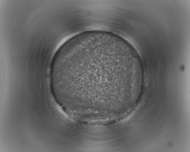 X0000092030983200709201608