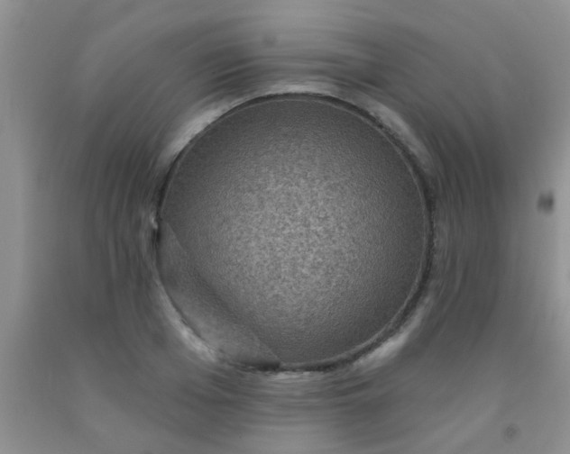 X0000092030985200709201608