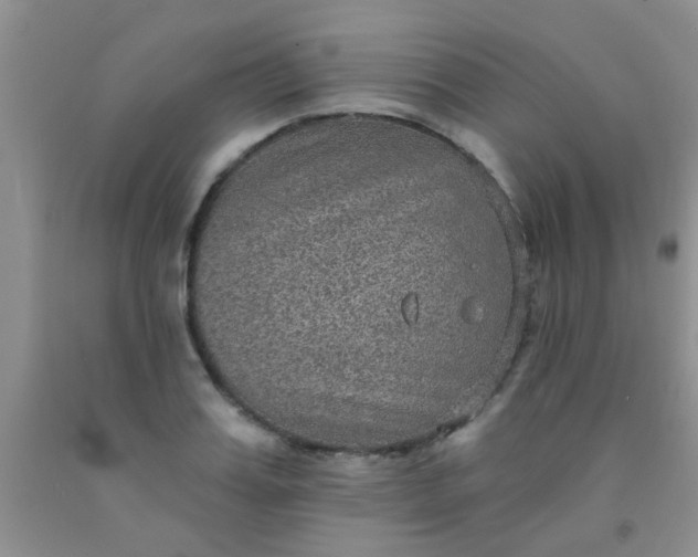 X0000092030987200709201608