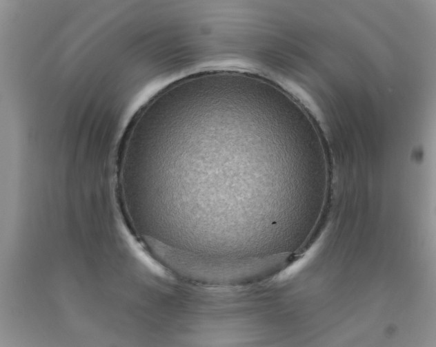 X0000092030989200709201608