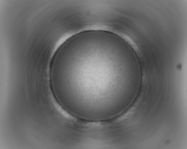 X0000092030990200709201608