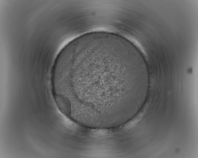 X0000092030991200709201608