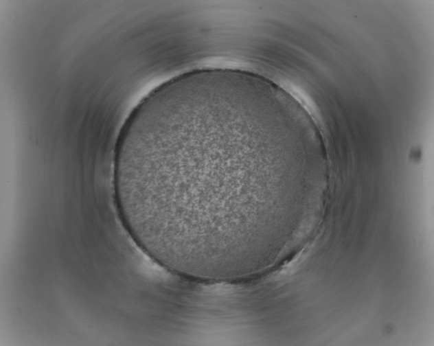 X0000092030992200709201608