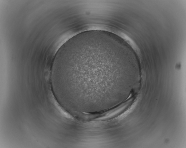 X0000092030993200709201608