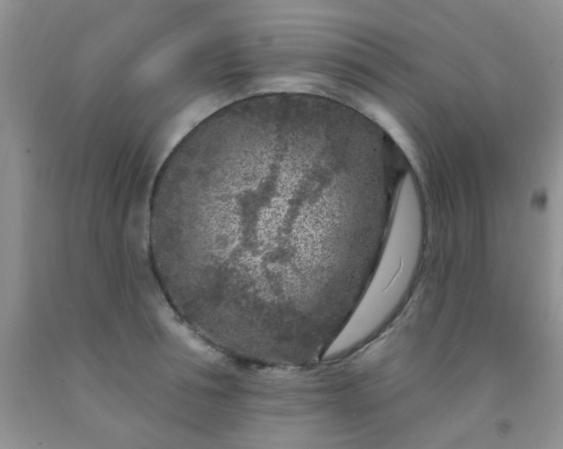 X0000092030994200709201608