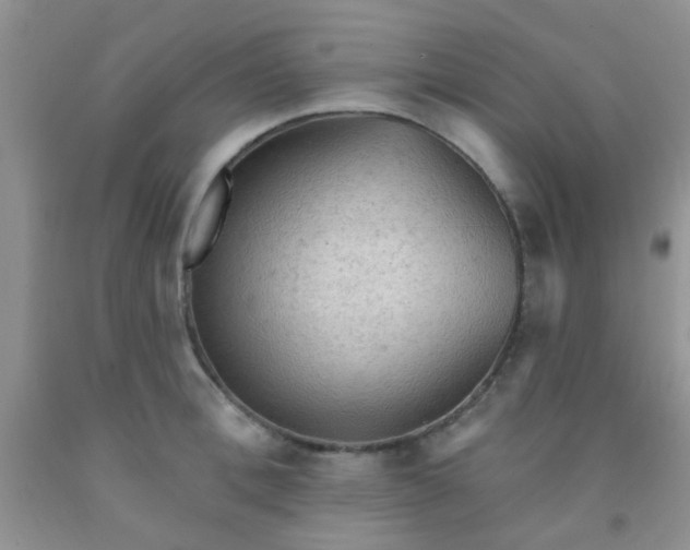 X0000092030996200709201608