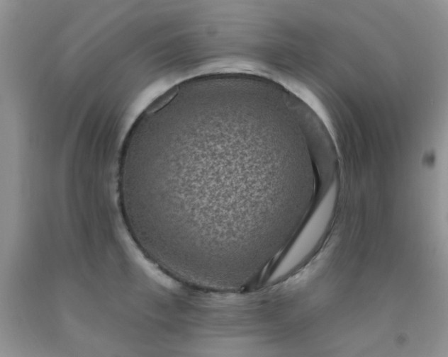 X0000092030997200709201608