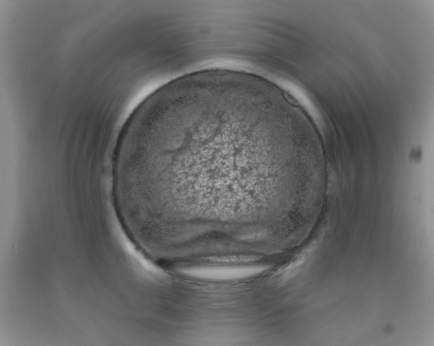 X0000092030999200709201608