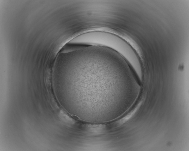 X0000092031001200709201608